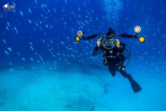 buceo isla de lobos