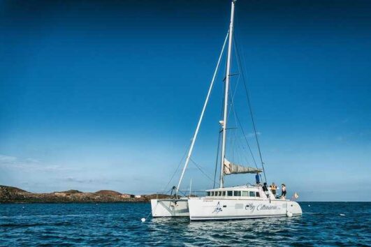 Isla de Lobos Catamarán