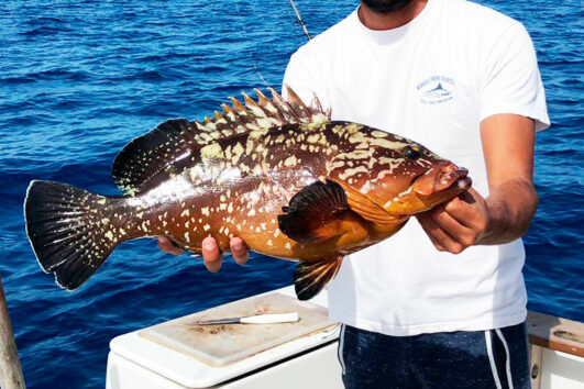 fishing lobos island