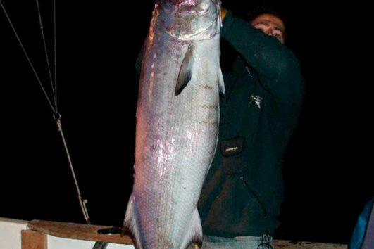 pesca nocturna isla de lobos