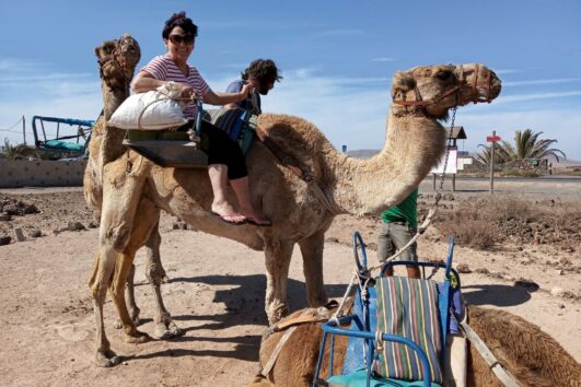 Camello Safari Fuerteventura