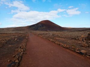 Camello Safari Fuerteventura