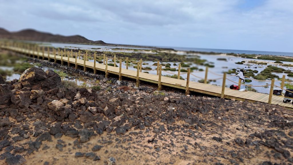 Los Toscones y Playas de La Oliva realizan una jornada de Limpieza en Lobos